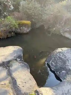 達磨寺(群馬県)