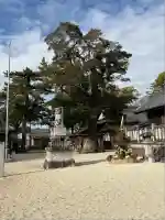 神明神社(高棚神明神社)(愛知県)