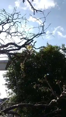 比佐豆知神社(三重県)