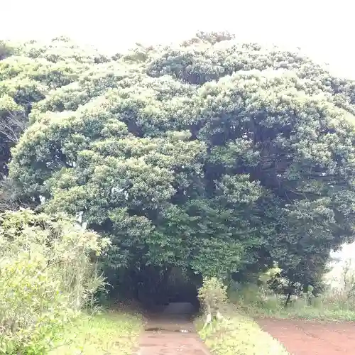 大宮神社のその他建物