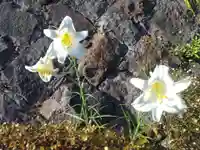 高養寺(神奈川県)