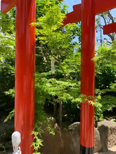 尼崎えびす神社の鳥居