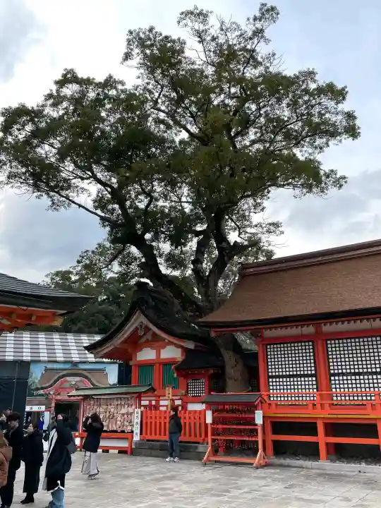 宇佐神宮の{uncategorized: "未分類", other: "その他", undefined: "問題あり", building: "その他建物", grave: "お墓", sacred_gate: "鳥居", guardian: "狛犬", statue: "像", buddha: "仏像", history: "歴史", nature: "自然", garden: "庭園", animal: "動物", pagoda: "塔", temizu: "手水舎", mountain_gate: "山門・神門", sanctuary: "本殿・本堂", subordinate: "末社・摂社", art: "芸術", scenery: "景色", jizo: "地蔵", ema: "絵馬", goshuin: "御朱印", omikuji: "おみくじ", items: "授与品その他", amulet: "お守り", goshuincho: "御朱印帳", eats: "食事", festival: "お祭り", votive_dance: "神楽", shichigosan: "七五三参", wedding: "結婚式", experience: "体験その他", initially: "初詣", around: "周辺", anti_infection: "感染症対策"}