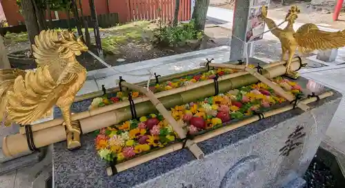 富岡八幡宮(東京都)