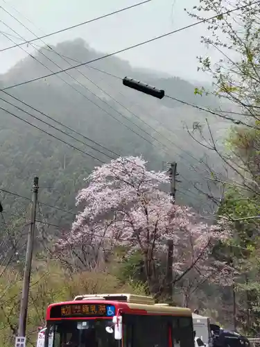 一石山神社の景色