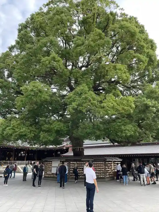 明治神宮(東京都)