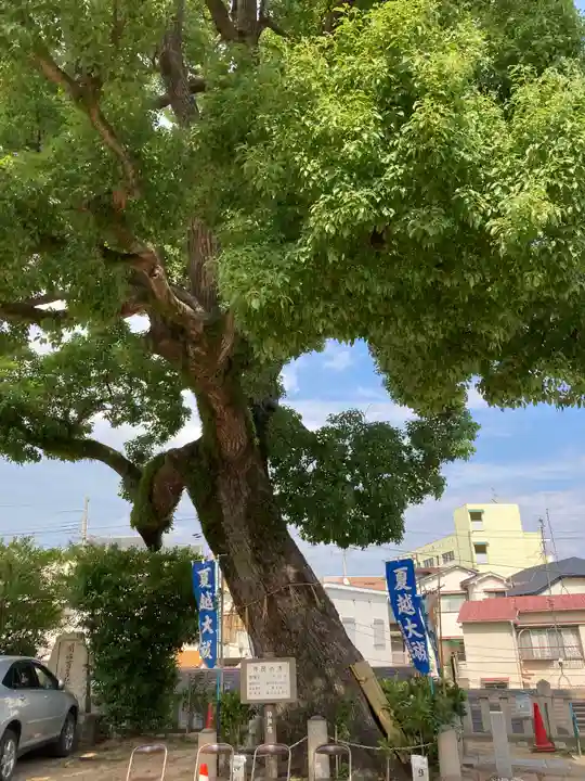 丹生神社(兵庫県)