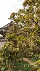 寶塔寺（宝塔寺）(京都府)