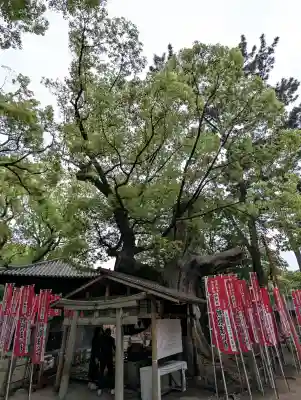 楠珺社(住吉大社末社)(大阪府)