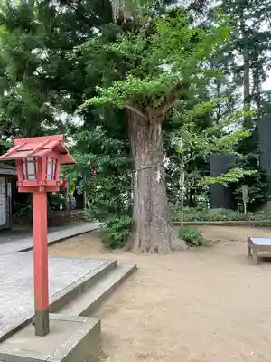 麻賀多神社(千葉県)
