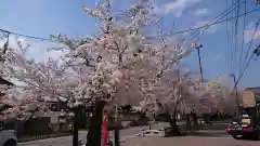 小幡八幡宮の景色