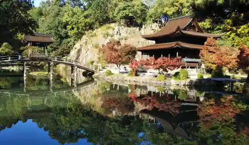 永保寺の庭園