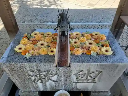 川越八幡宮(埼玉県)