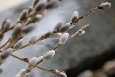 高司神社〜むすびの神の鎮まる社〜の手水舎