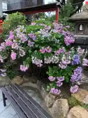 尼崎えびす神社(兵庫県)