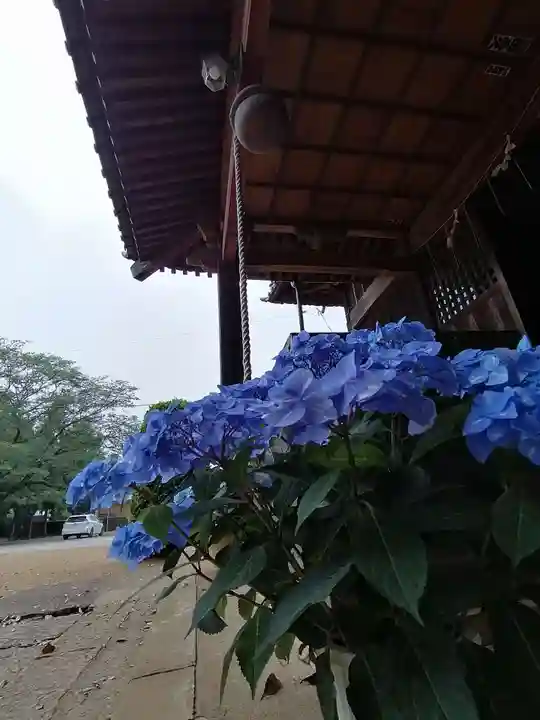 伏木香取神社の自然