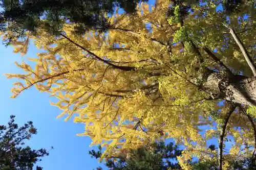 東館稲荷神社の自然
