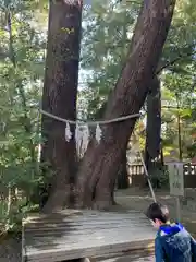 武蔵一宮氷川神社(埼玉県)