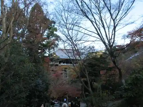 清水寺(京都府)