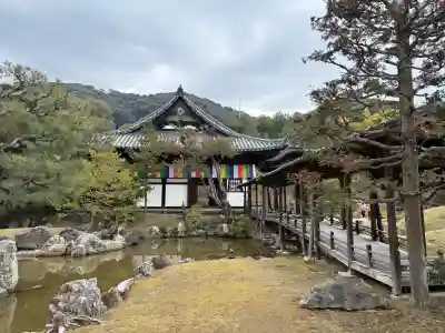 高台寺(高台寿聖禅寺・高臺寺)(京都府)