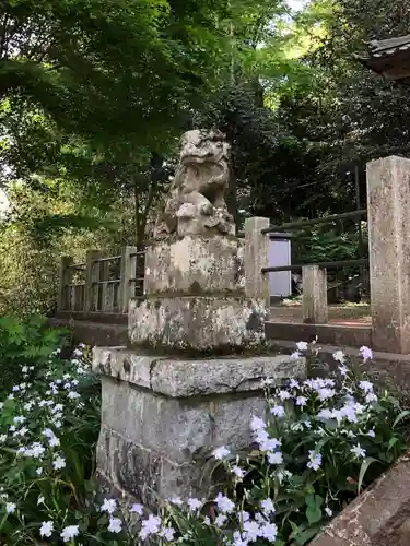 高尾山麓氷川神社の狛犬