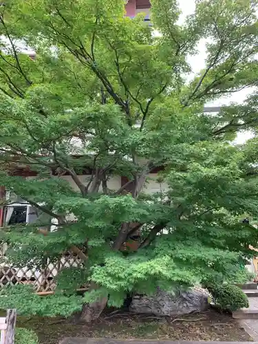 東照寺(神奈川県)