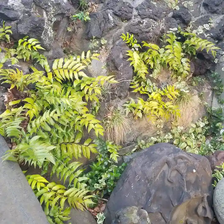 寄木神社の自然