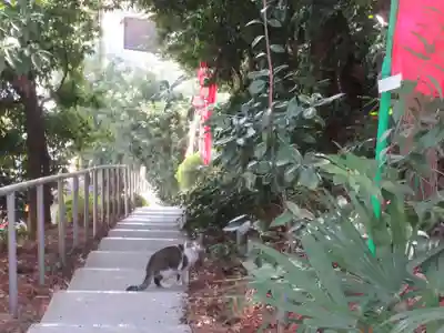 福泉寺(神奈川県)