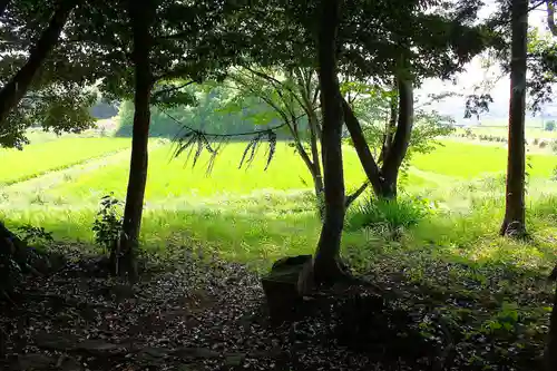 若宮神社(島根県)