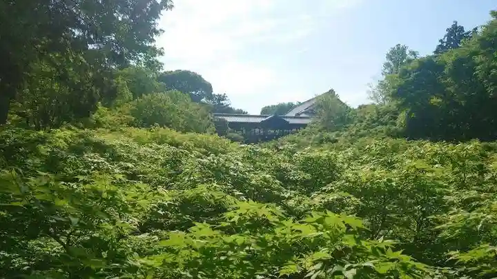東福禅寺(東福寺)(京都府)
