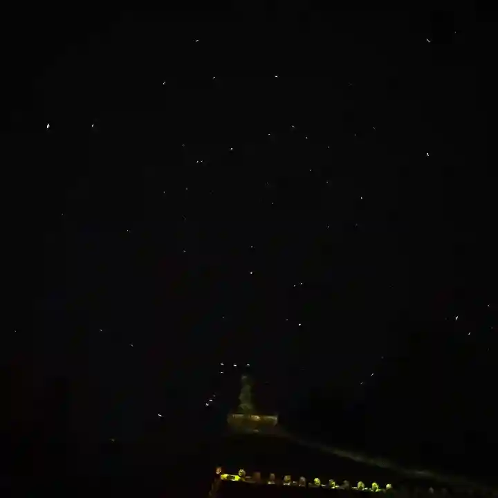 日光東照宮の自然