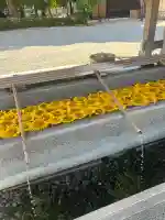 射水神社の手水舎