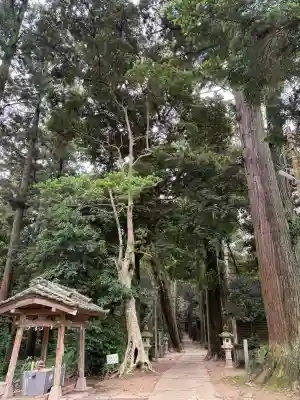 日吉神社の{uncategorized: "未分類", other: "その他", undefined: "問題あり", building: "その他建物", grave: "お墓", sacred_gate: "鳥居", guardian: "狛犬", statue: "像", buddha: "仏像", history: "歴史", nature: "自然", garden: "庭園", animal: "動物", pagoda: "塔", temizu: "手水舎", mountain_gate: "山門・神門", sanctuary: "本殿・本堂", subordinate: "末社・摂社", art: "芸術", scenery: "景色", jizo: "地蔵", ema: "絵馬", goshuin: "御朱印", omikuji: "おみくじ", items: "授与品その他", amulet: "お守り", goshuincho: "御朱印帳", eats: "食事", festival: "お祭り", votive_dance: "神楽", shichigosan: "七五三参", wedding: "結婚式", experience: "体験その他", initially: "初詣", around: "周辺", anti_infection: "感染症対策"}