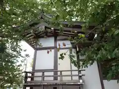 諏訪神社(東京都)