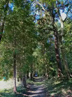大井神社（太郎神社）(茨城県)