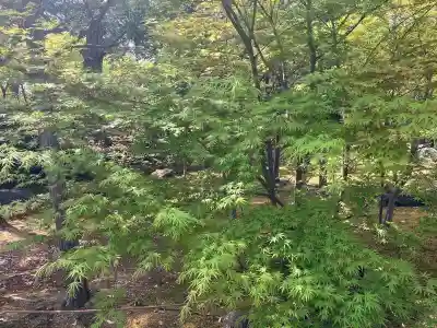 勝林寺(京都府)