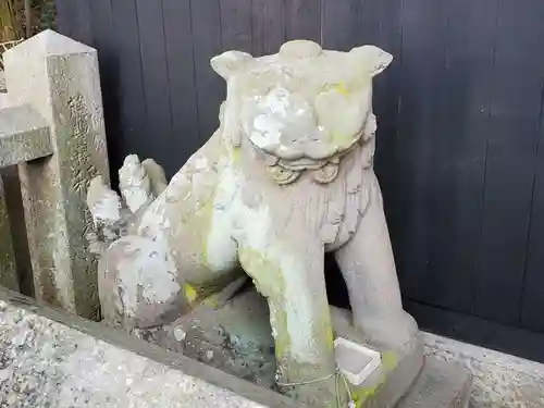 氷室神社の狛犬