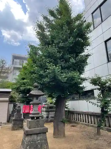 青葉台北野神社の自然