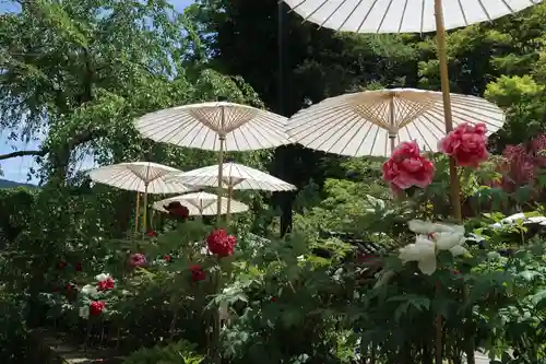 長谷寺(奈良県)