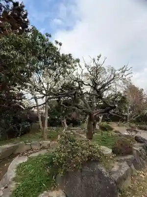 石光寺の{uncategorized: "未分類", other: "その他", undefined: "問題あり", building: "その他建物", grave: "お墓", sacred_gate: "鳥居", guardian: "狛犬", statue: "像", buddha: "仏像", history: "歴史", nature: "自然", garden: "庭園", animal: "動物", pagoda: "塔", temizu: "手水舎", mountain_gate: "山門・神門", sanctuary: "本殿・本堂", subordinate: "末社・摂社", art: "芸術", scenery: "景色", jizo: "地蔵", ema: "絵馬", goshuin: "御朱印", omikuji: "おみくじ", items: "授与品その他", amulet: "お守り", goshuincho: "御朱印帳", eats: "食事", festival: "お祭り", votive_dance: "神楽", shichigosan: "七五三参", wedding: "結婚式", experience: "体験その他", initially: "初詣", around: "周辺", anti_infection: "感染症対策"}