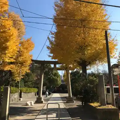 稲毛神社の鳥居