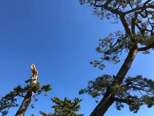 八重垣神社の自然