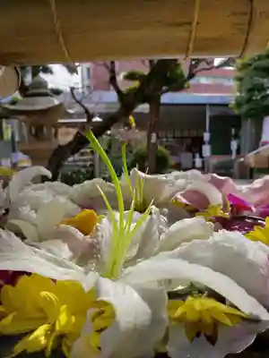鳩森八幡神社(東京都)