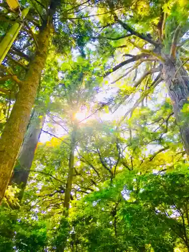 側高神社の自然