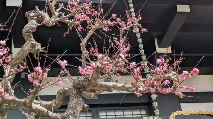 妙本寺(大阪府)