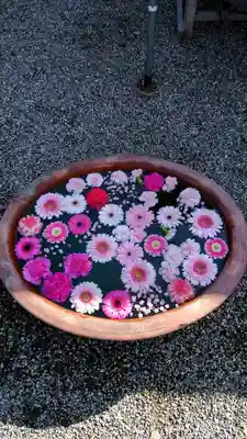 荘内神社(山形県)