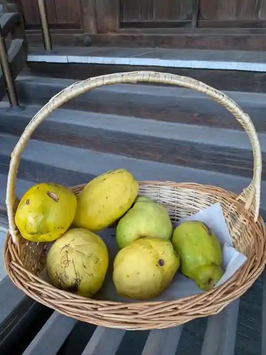 福蔵院(東京都)