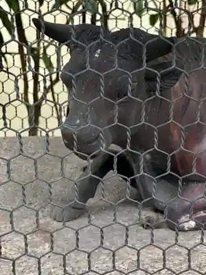 千喜万悦天満宮の狛犬