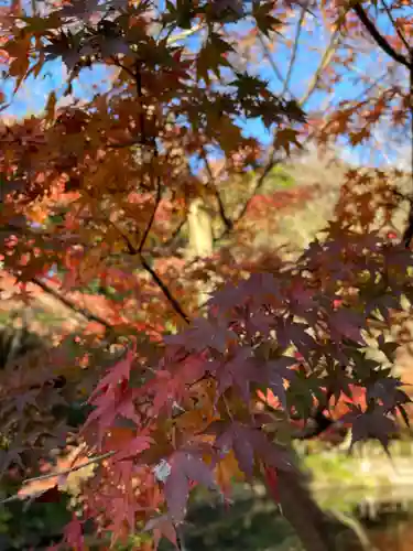 鶴岡八幡宮の自然