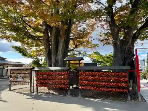 盛岡八幡宮の建物その他